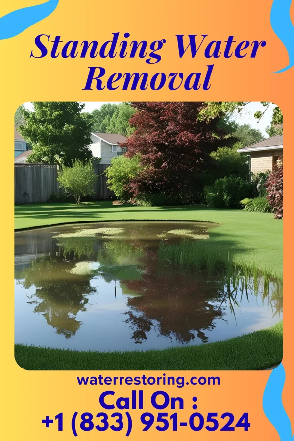 Standing Water Removal in Chillicothe, OH